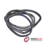 Ущільнювач дверей задньої лівої (на двері) FORD KUGA 13-21 (ФОРД КУГА) FORD KUGA 2013-2021