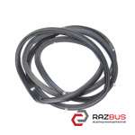 Ущільнювач двері передньої правої FORD KUGA 13-21 (ФОРД КУГА) FORD KUGA 2013-2021