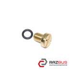 Болт (пробка, клапан) радіатора для видалення повітря Новий BMW 5 E39 1996-2004 BMW 5 (E39) 1996-2004