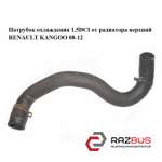 Патрубок охлаждения 1.5DCI от радиатора верхний RENAULT KANGOO 2008-2012