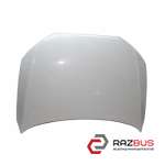 Капот (Дефект) AUDI Q3 2011-2018 AUDI Q3 2011-2018