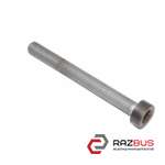 Болт кріплення заднього супорта VOLKSWAGEN TOUAREG 10-18 (ФОЛЬКСВАГЕН ТАУРЕГ) RENAULT TRAFIC 2000-2014г