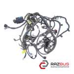 Проводка двигуна 1.2 16V CHEVROLET AVEO (T300) 2011-2016 (ШЕВРОЛ CHEVROLET AVEO (T300) 2011-2016