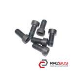 Болт кріплення маховика 2.0TDI комплект (6 шт.) AUDI Q3 2011-2018 AUDI Q3 2011-2018