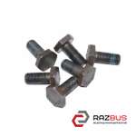 Болт кріплення маховика 1.2 16V 1.4 16V комплект CHEVROLET AVEO (T300) 2011-2016 CHEVROLET AVEO (T300) 2011-2016
