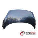 Капот 12-RENAULT SCENIC 12-15 (РЕНО Сценік) RENAULT SCENIC 2009-2015