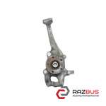 Розворотний кулак передній правий під ABS  AUDI Q5 2008-2017 AUDI Q5 2008-2017