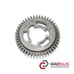 Шестерня розподільного валу RENAULT MASTER 10- (РЕНО МАСТЕР) OPEL MOVANO 2010-2026г