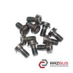 Болт крепления маховика 3.0TDI комплект (10 шт.) PEUGEOT 308 (T9) 13-21